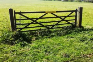 La Cerca de Chesterton: Un Principio Clave para la Toma de Decisiones Empresariales