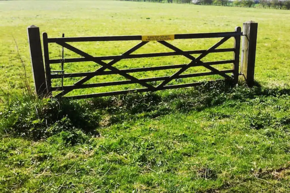 La Cerca de Chesterton: Un Principio Clave para la Toma de Decisiones Empresariales